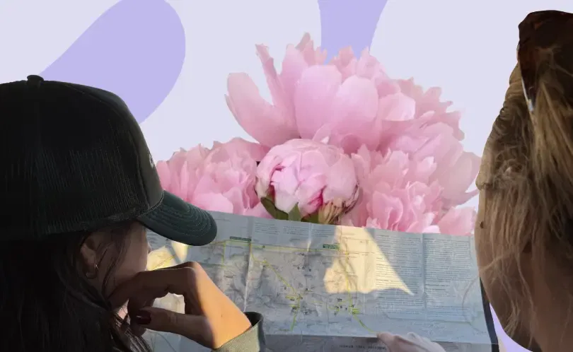 data storytelling process